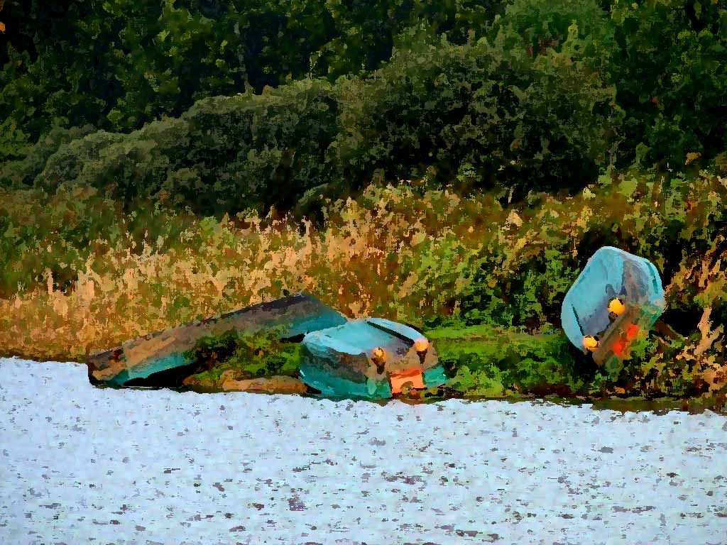 Au bord de l'étang