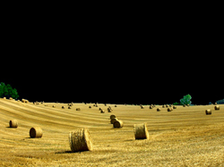 Après la moisson
