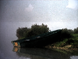 Au bord de l'étang