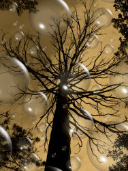 L'arbre à bulles